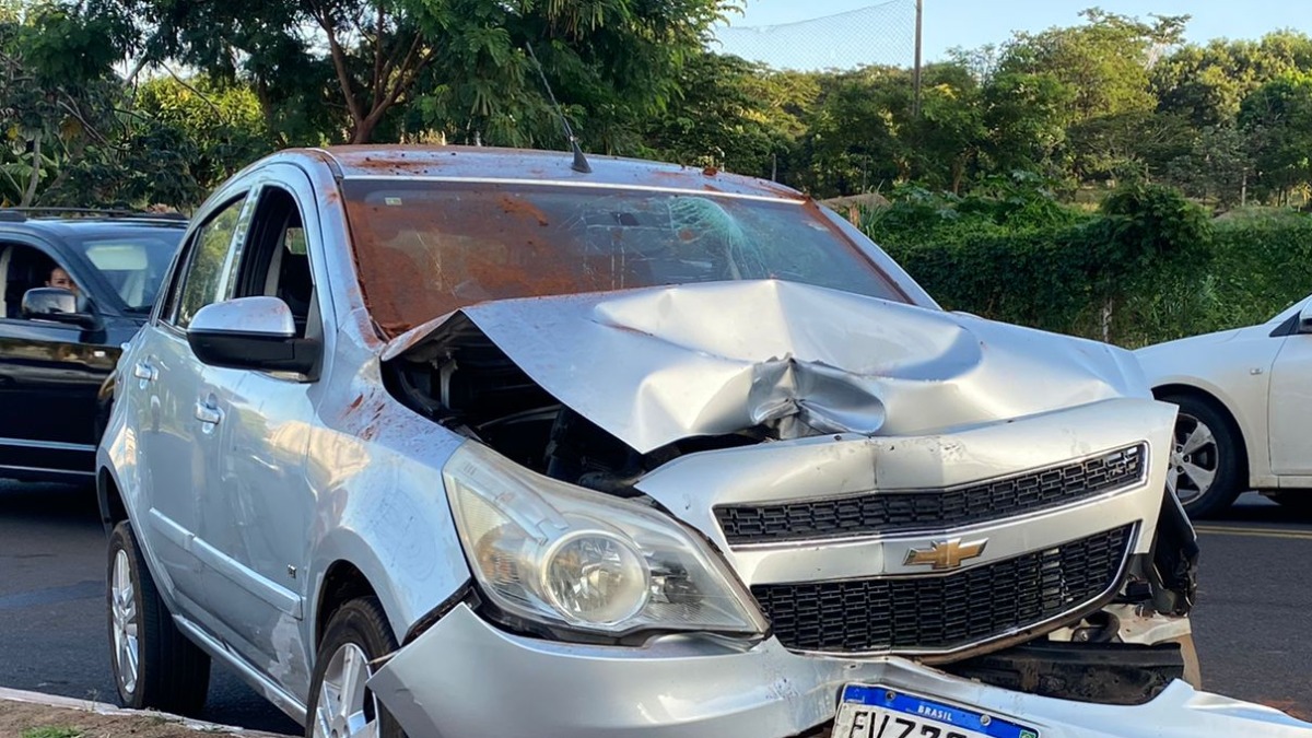 acidentes de trânsito Ribeirão Preto