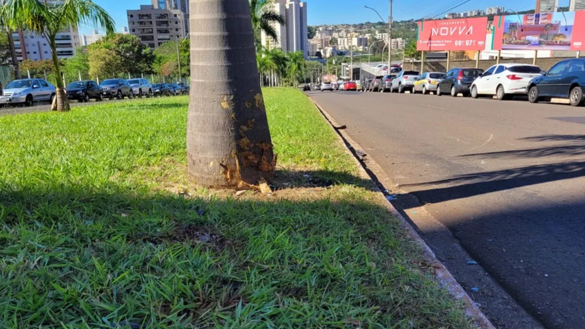 morte motoqueiro Ribeirão