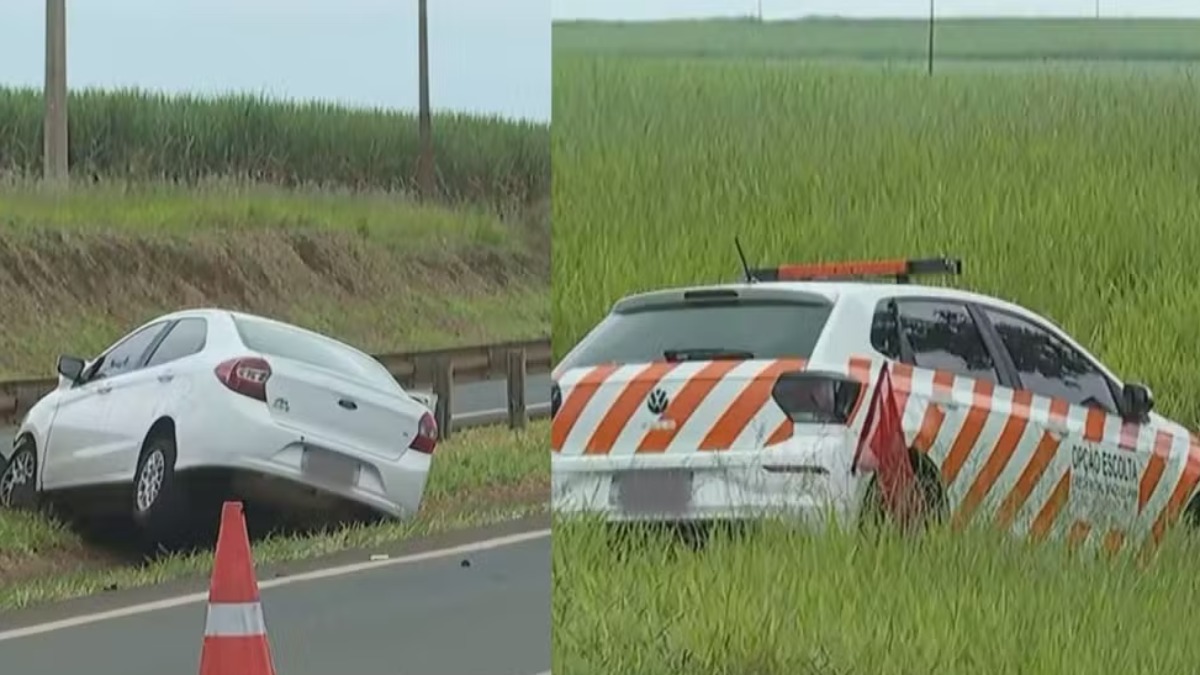 morte atropelamento rodovia