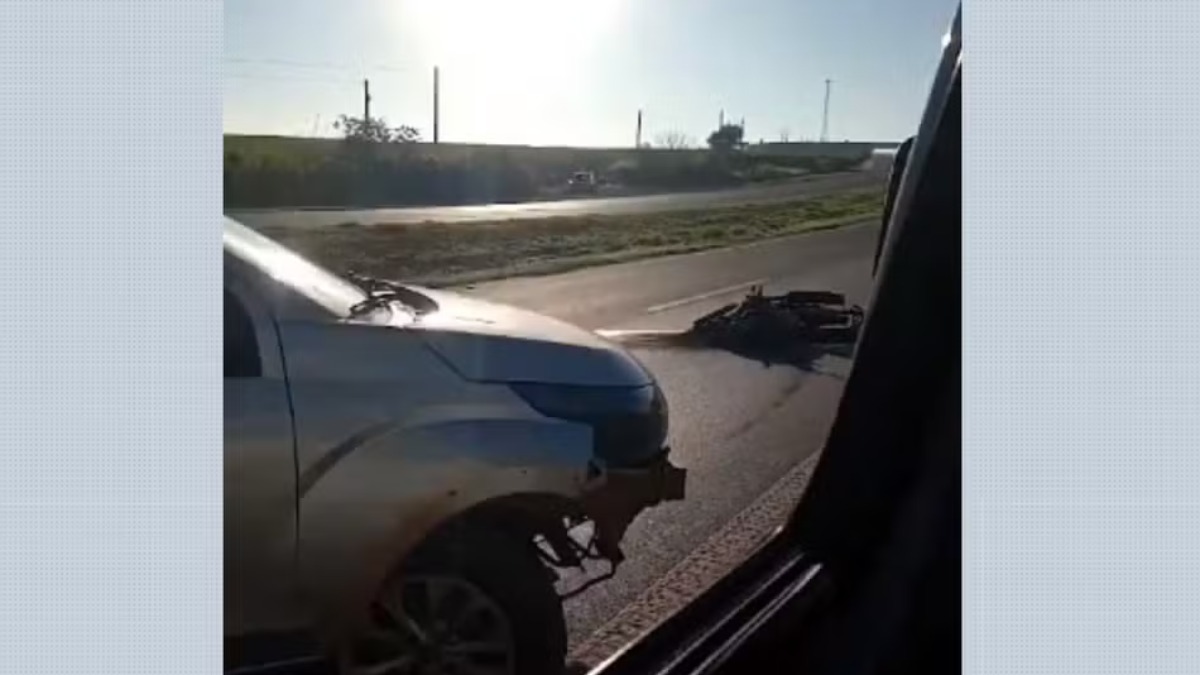 acidente capivara rodovia