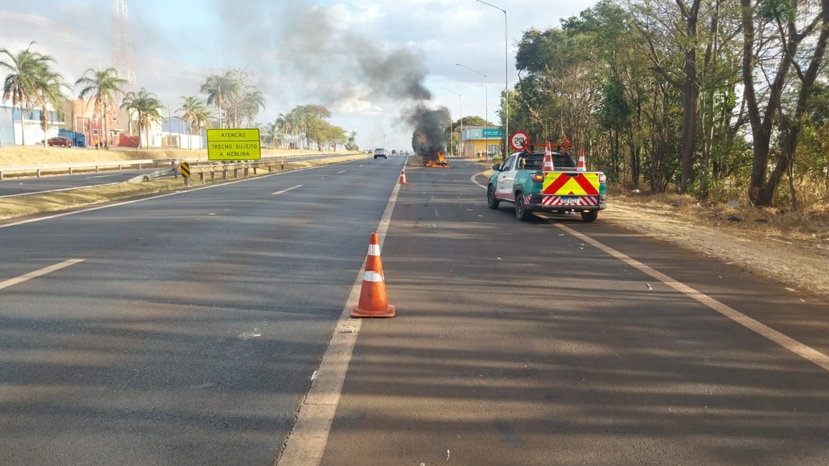 acidentes com animais