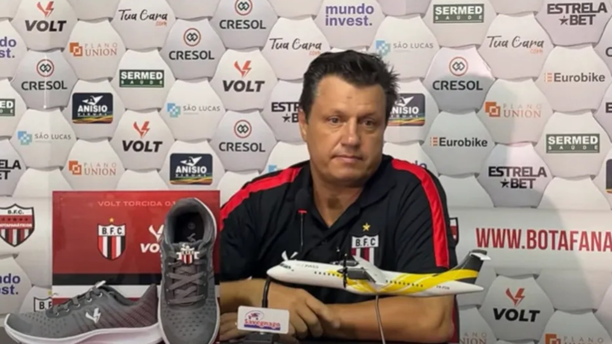 Botafogo-SP desempenho