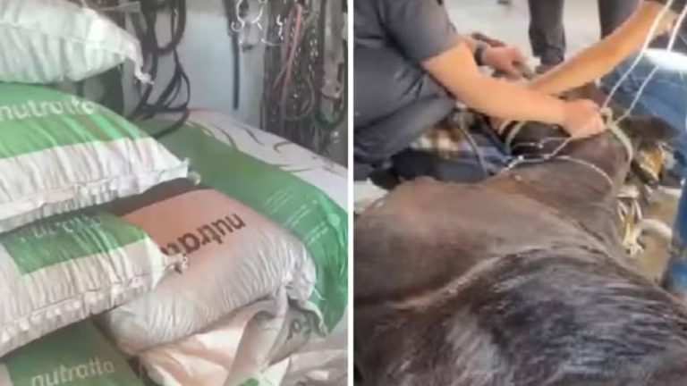 Governo determina recolhimento de produtos para