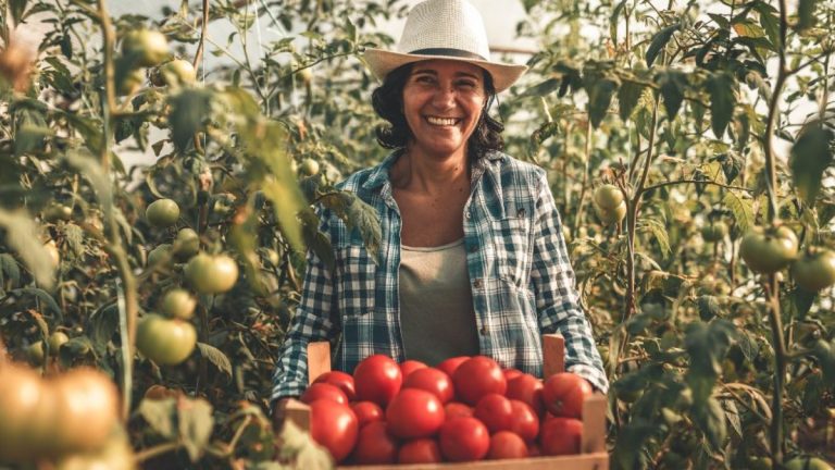 Projeto busca levar capacitação e desenvolvimento