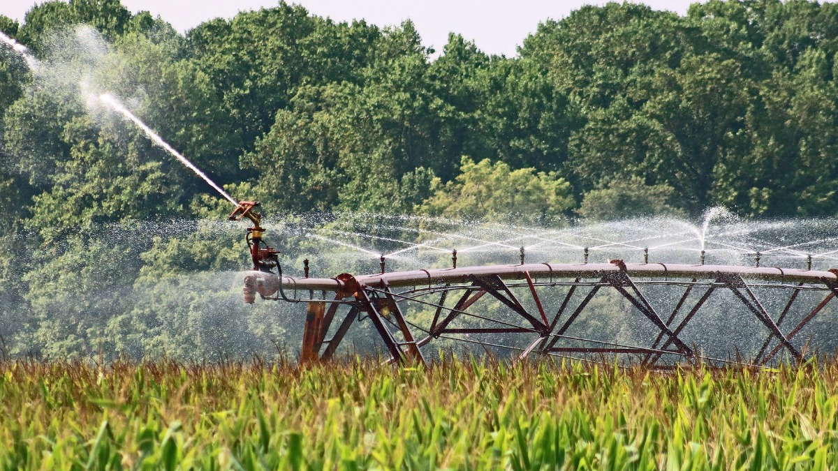 política agroindústria São Paulo
