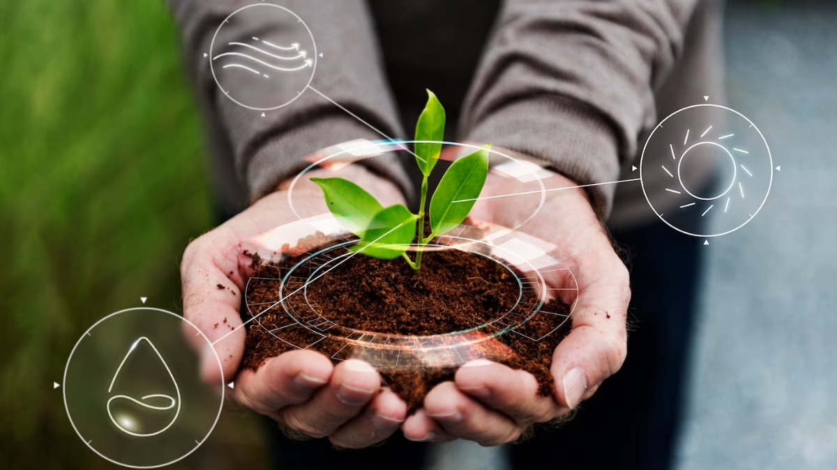 Programa de inovação do Sebrae tem