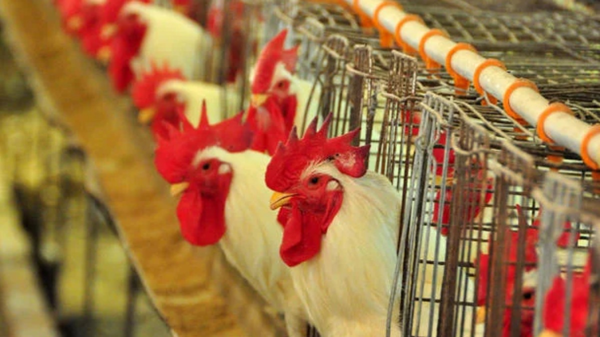 Mais de 30 destinos comerciais suspendem