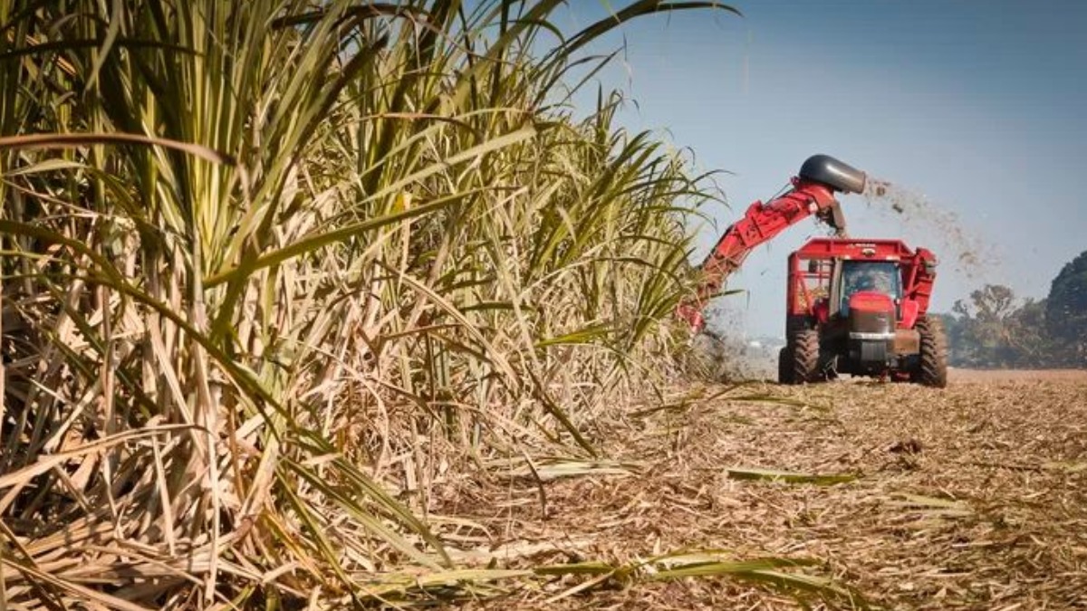 Sertãozinho recebe nesta quinta