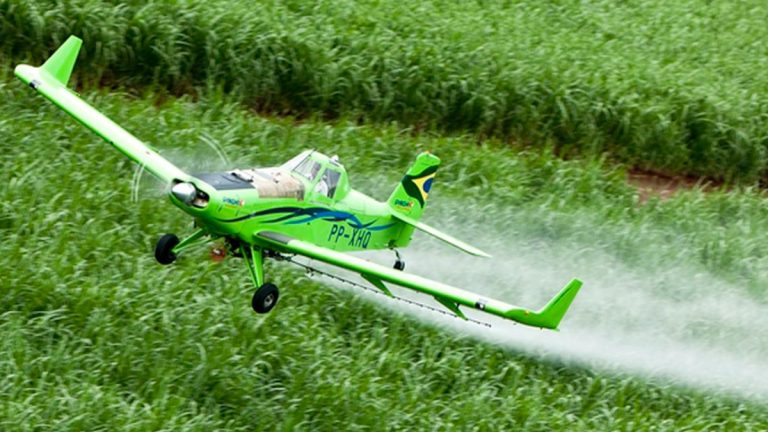 Pesquisa em três cidades encontra vestígios