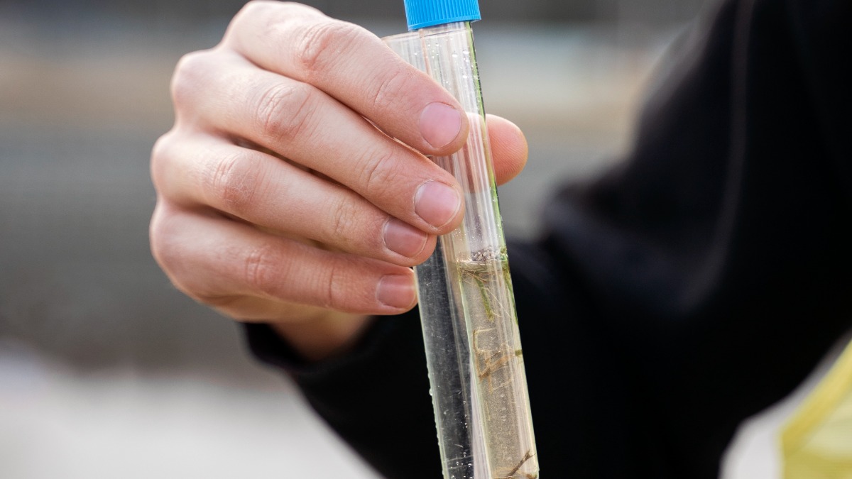 água de reuso urbana