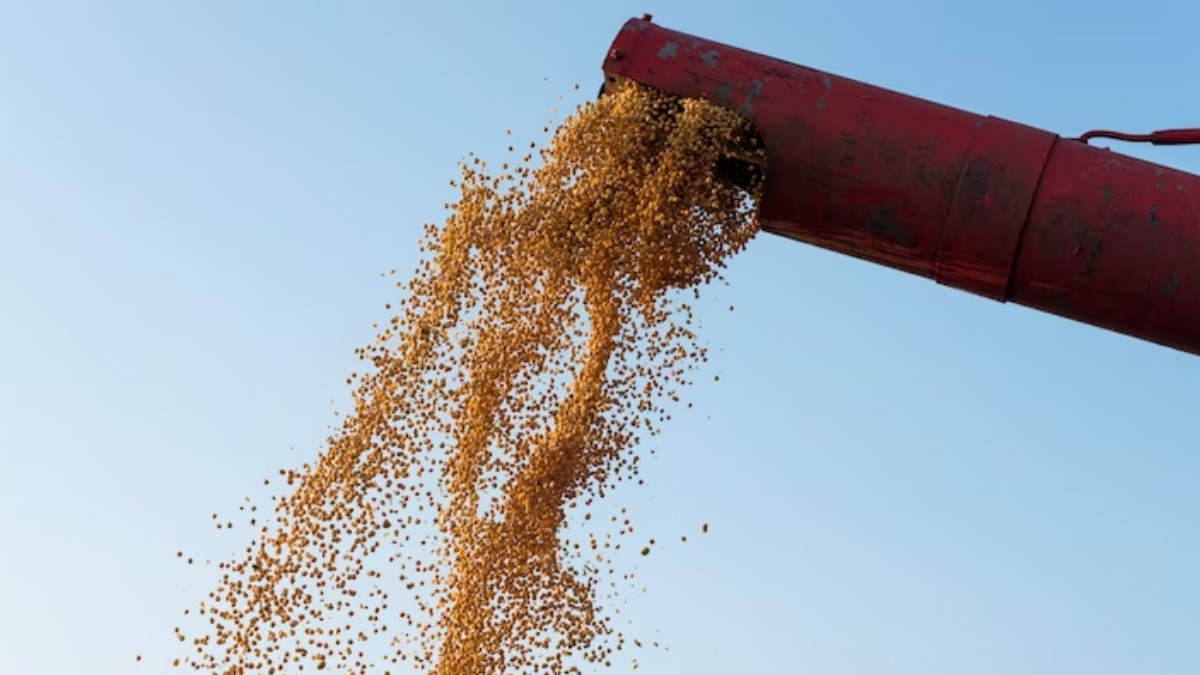 queda preços commodities