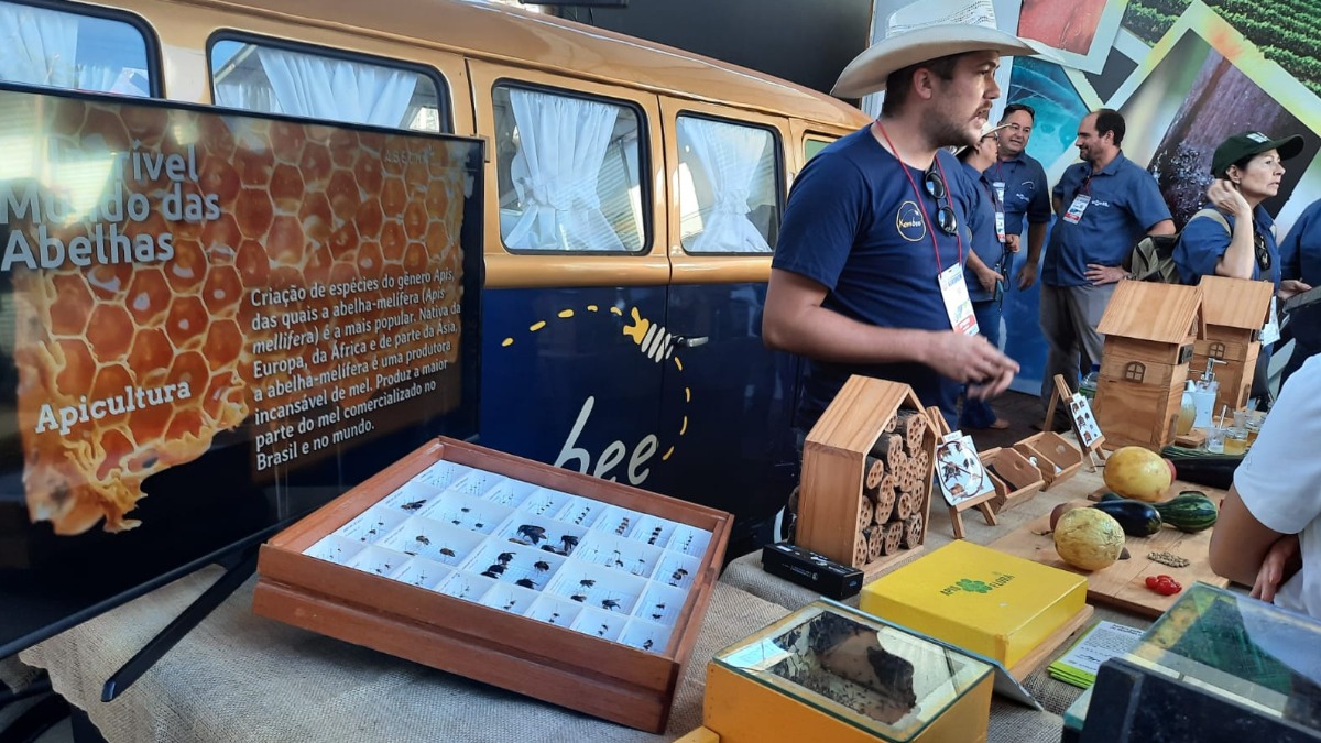 criação de abelhas