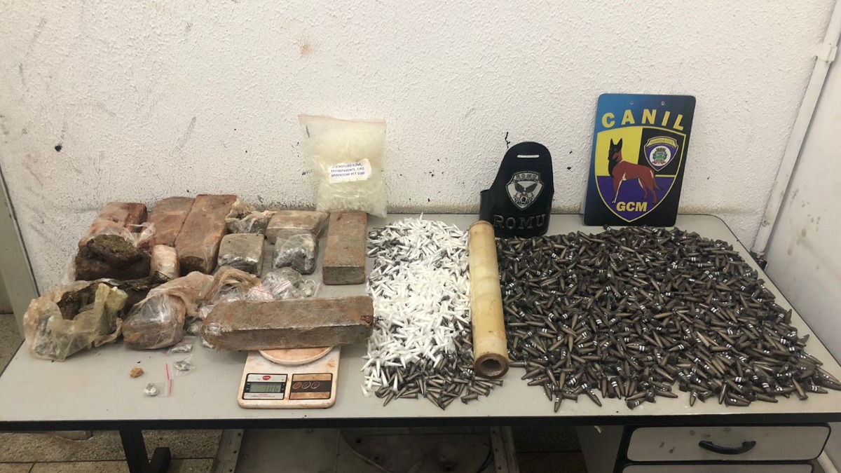 Cão farejador drogas