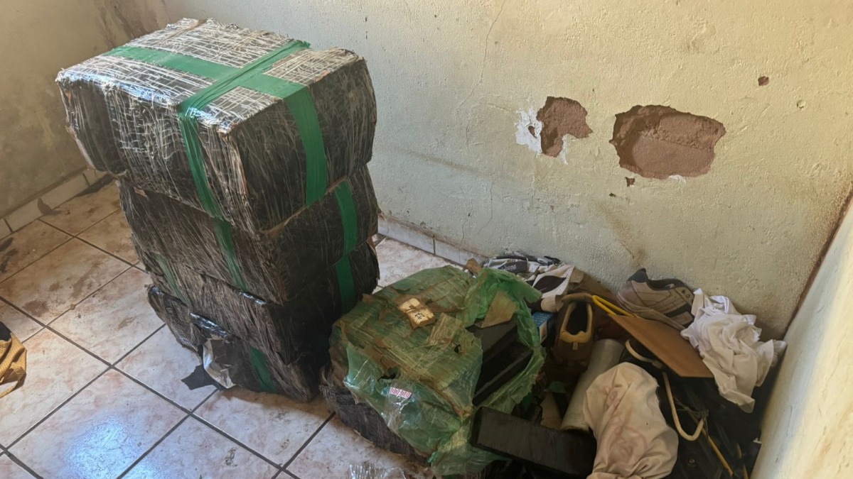 Apreensão de maconha