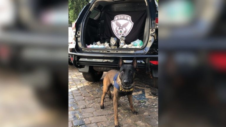 Canil da GCM apreende mochila com