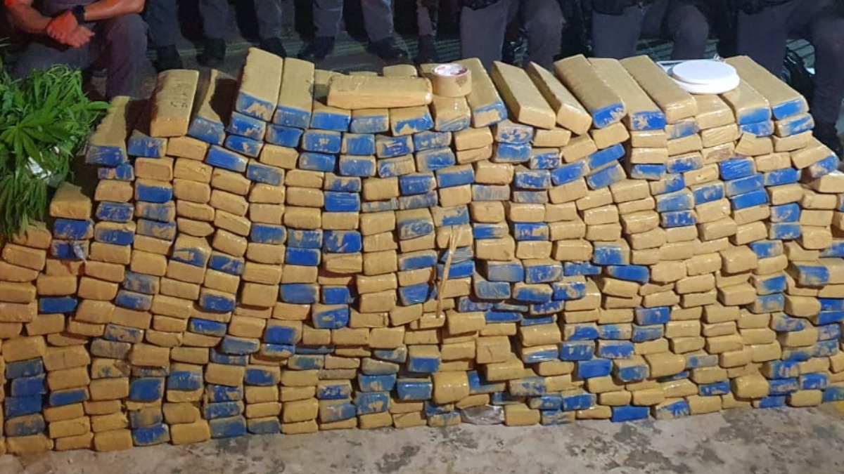 Apreensão de maconha