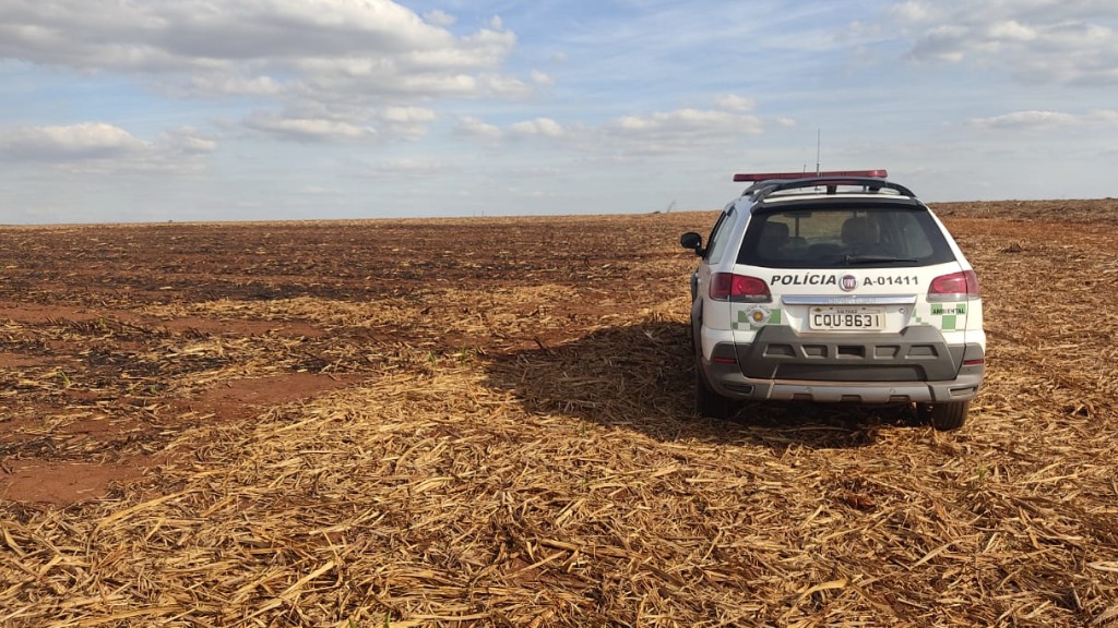 Fiscalização Florestal