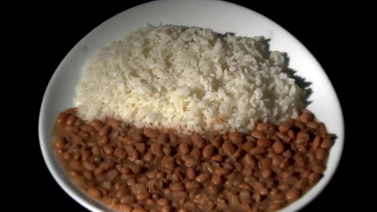 cadeia produtiva alimentar