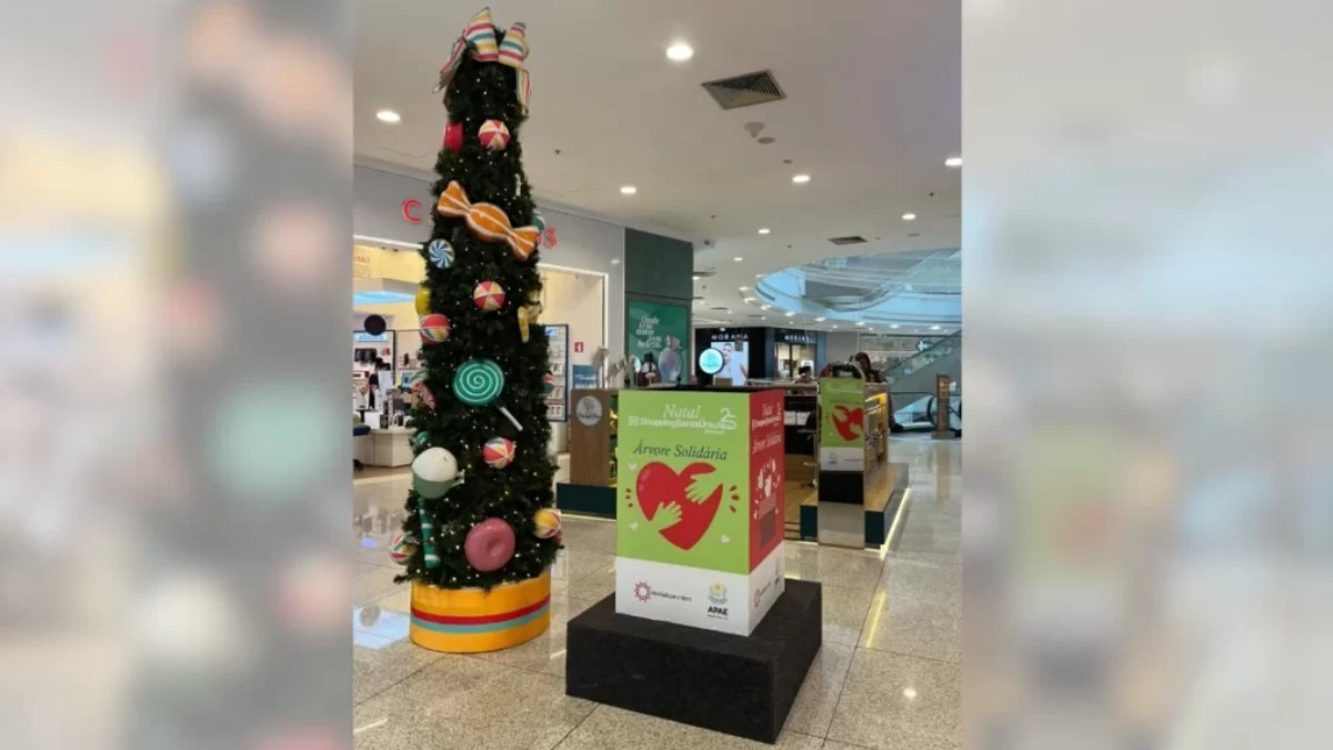 Apae de Ribeirão distribuí árvores de