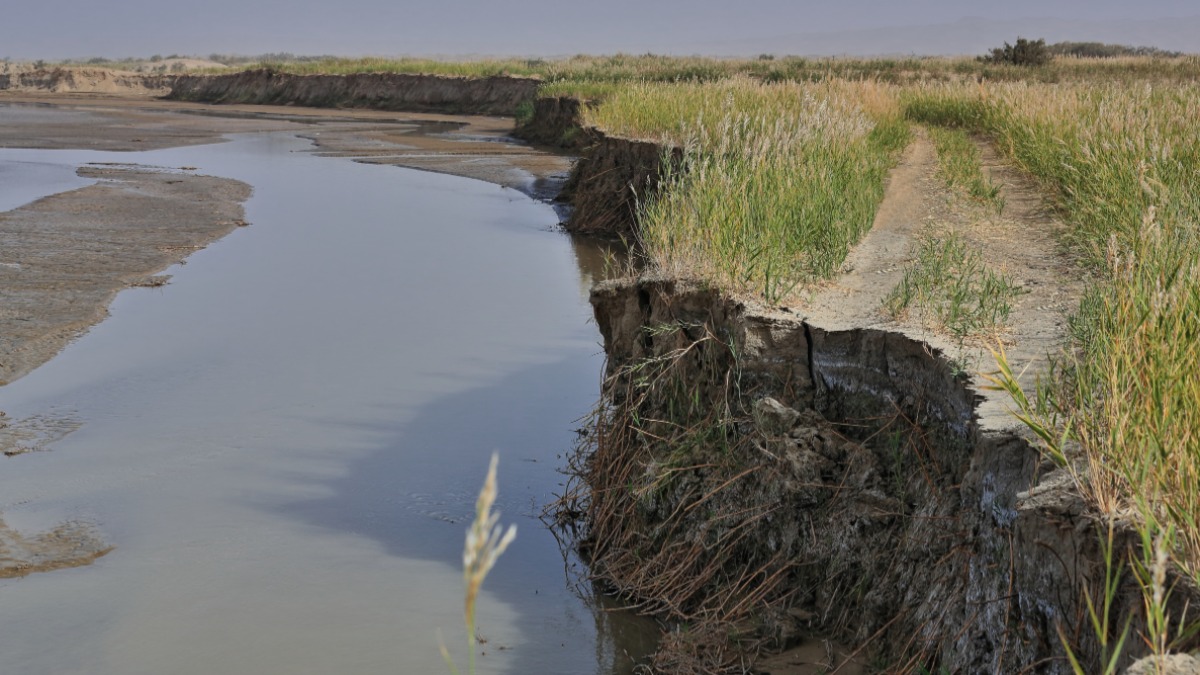 Bióloga reforça a importância de se
