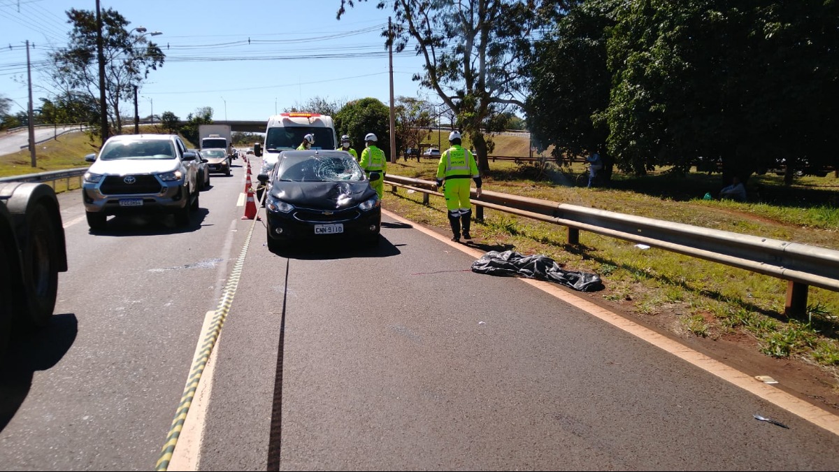 atropelamentos Ribeirão Preto