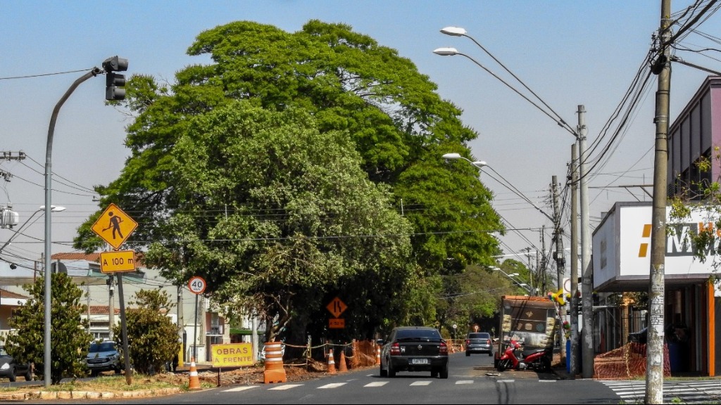 Região da Vila Tibério lidera