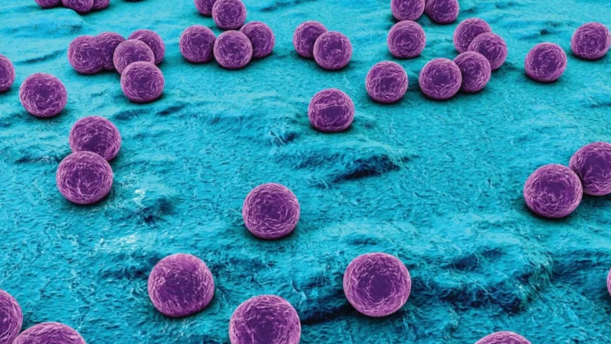 Estudo desenvolvido na região