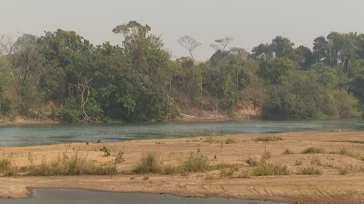 Nível do Rio Pardo está