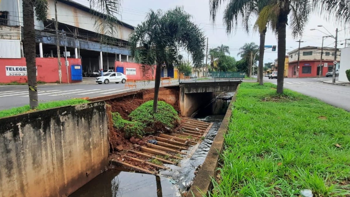 barranco e coqueiro caídos