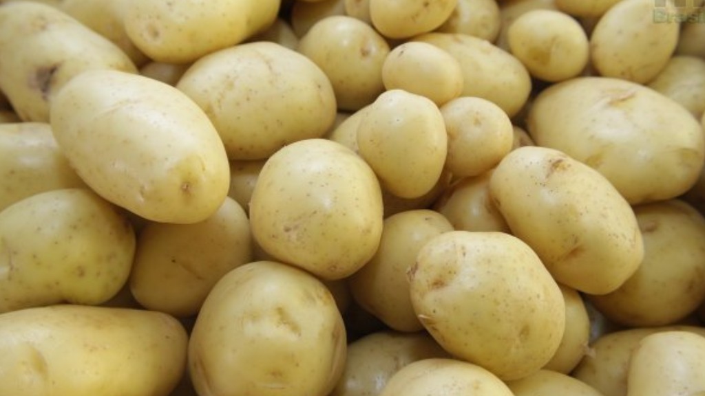 opção vegana peixe