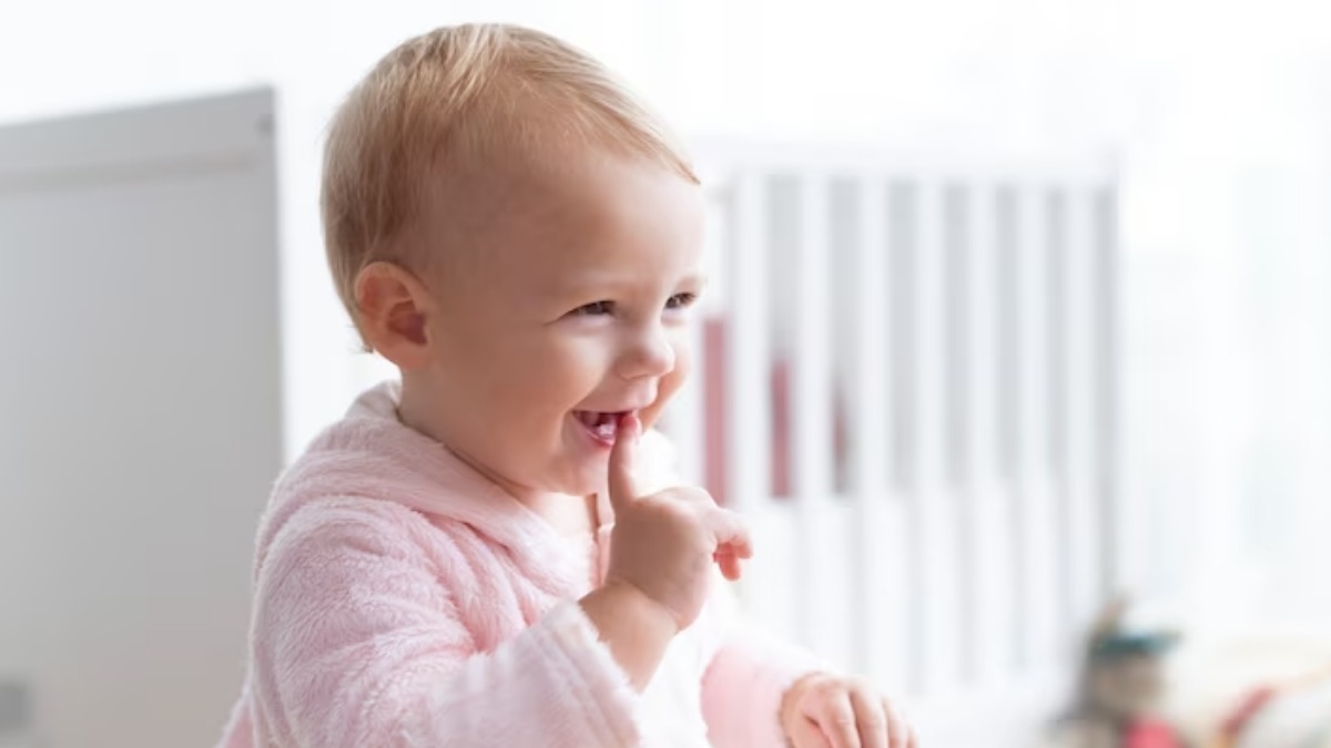 células-tronco dentes de leite