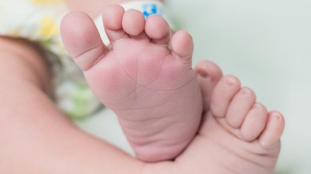 salário maternidade INSS