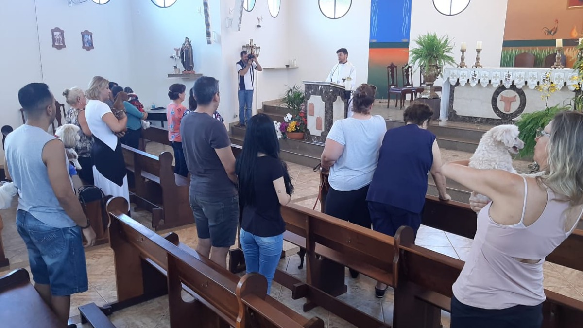 Dia de São Francisco