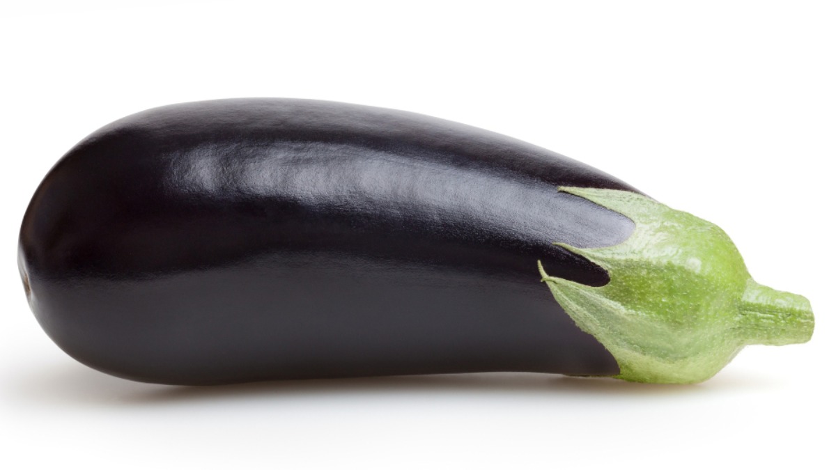 cultivo de berinjela