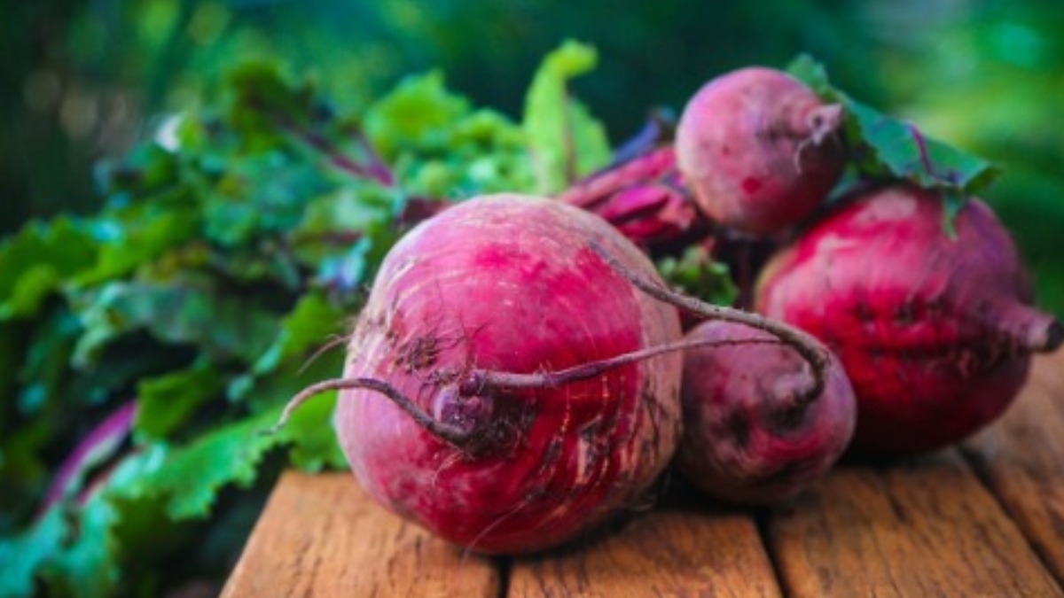 extrato de beterraba pressão arterial