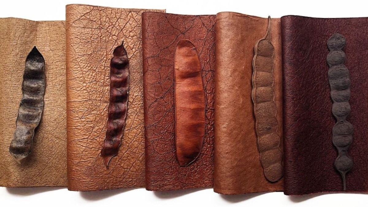 Pesquisa busca desenvolver material para substituir