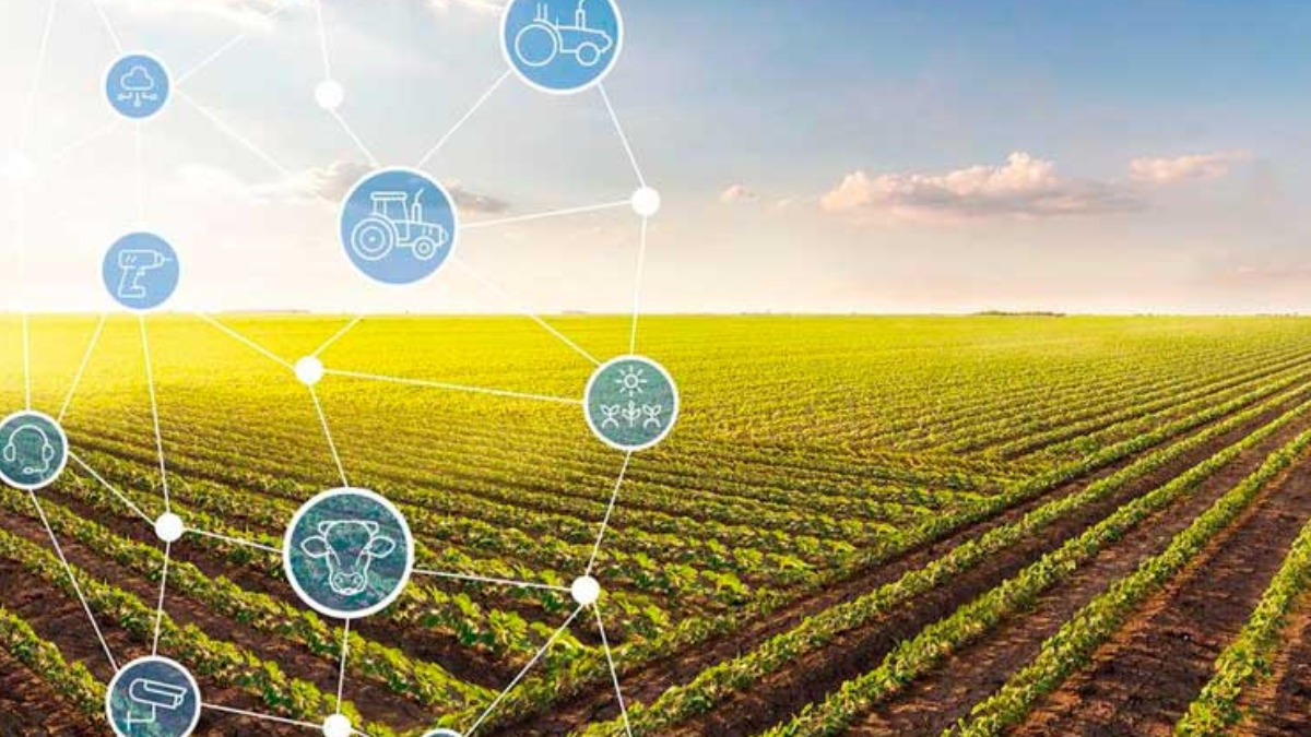 AgFoodTech Investimentos