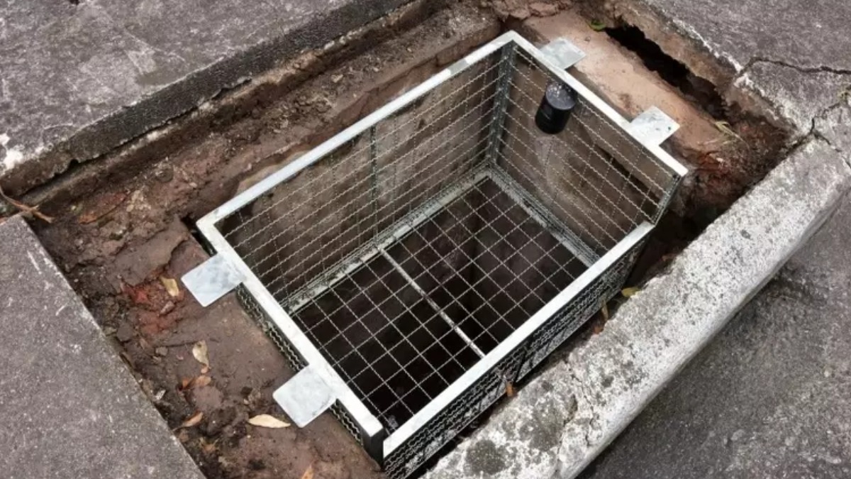 bocas de lobo inteligentes