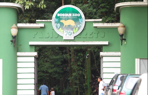 reabertura trilha jequitibá bosque