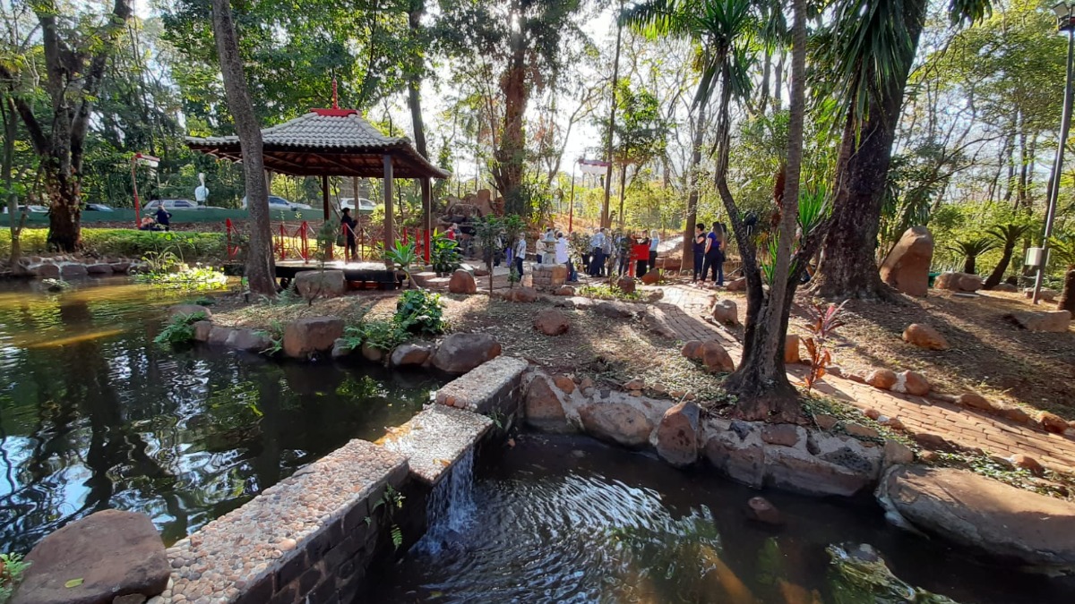 revitalização Bosque Municipal