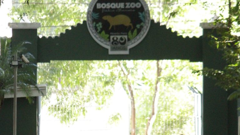 Bosque Zoológico Fábio Barreto abre inscrições