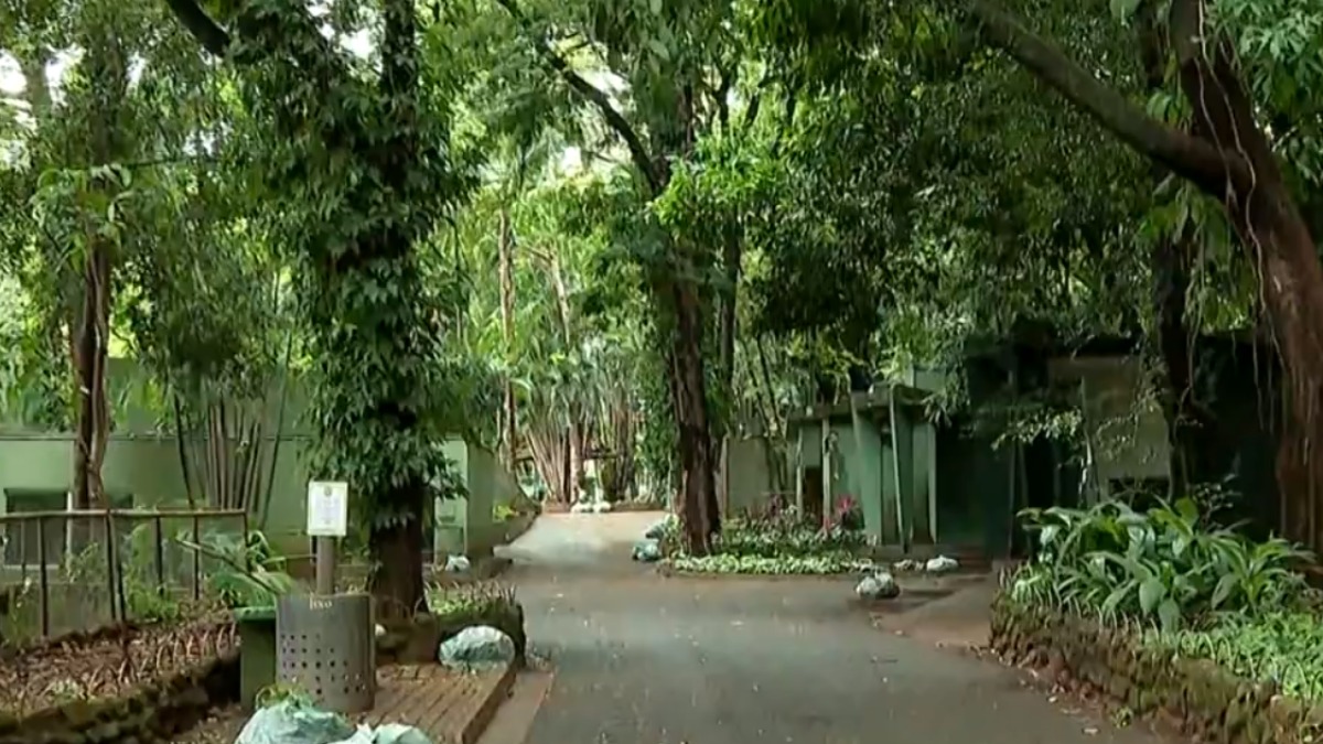 passeio em Ribeirão Preto