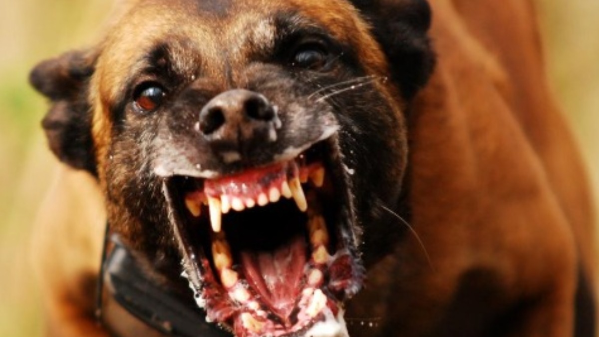 Sertãozinho tem ponto itinerante de vacinação