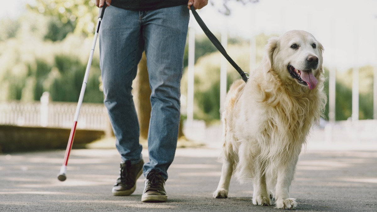 TRE de São Paulo quer avaliar