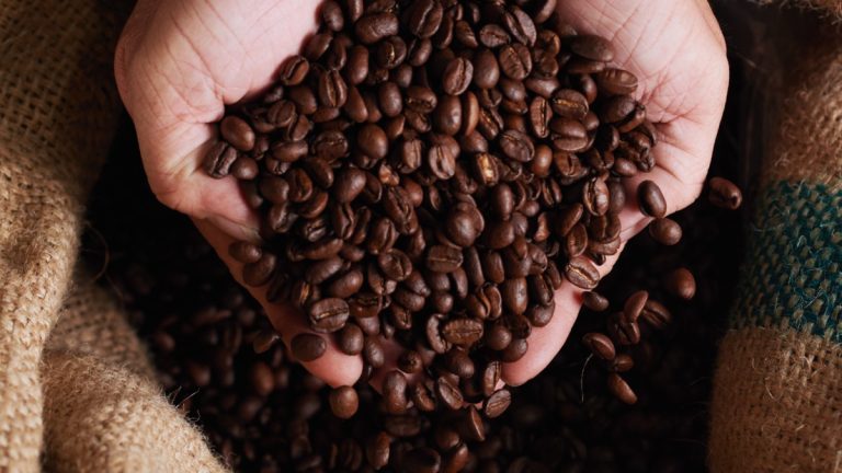 Saca de 60kg do café arábica