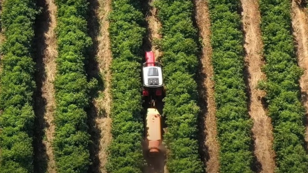 comercialização produção agrícola
