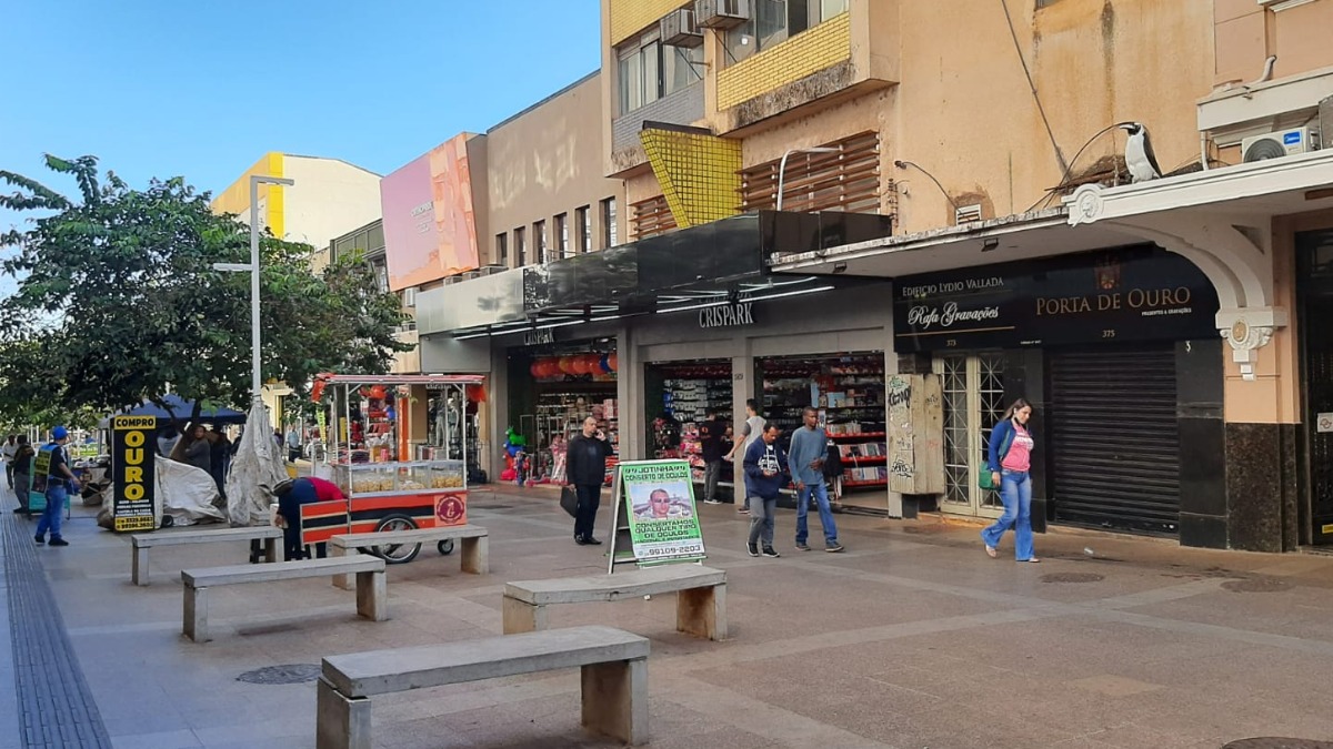 modelo novo comércio