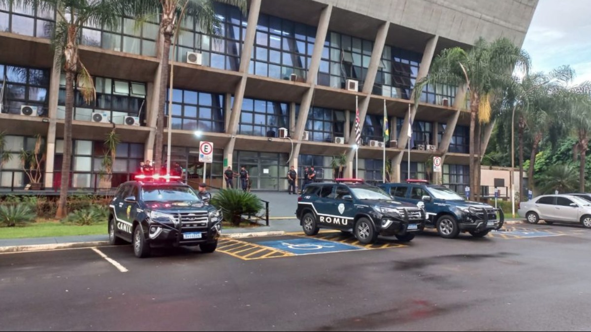 cremação de animais