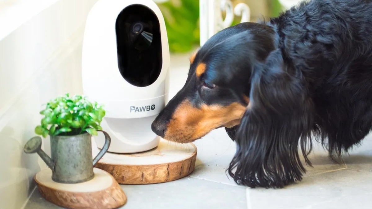 tecnologias para pets