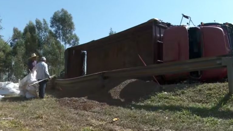 Caminhão carregado com ração para gado